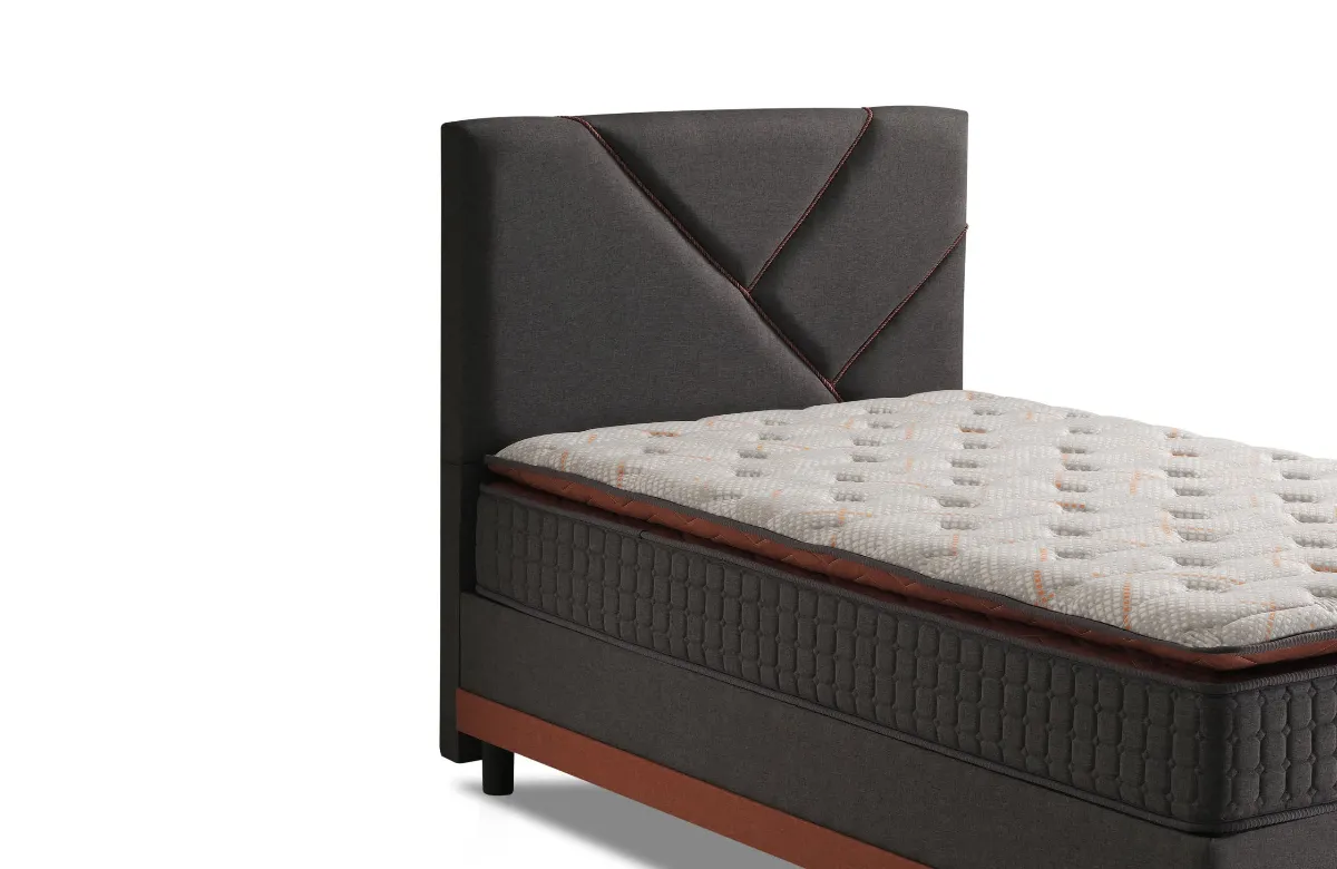 Regnum Life Baza Başlık Set
